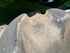 Mähdrescher John Deere T660 Hilmaster Bild 3