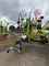 Claas Liner 2700 Trend Imagine 4