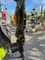 Claas Disco 1010 Trend Imagine 13