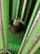 Krone Comprima CF 155 Foto 6