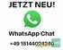 Pfanzelt P13 PROFI Bild 16