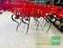 Ziegler SOLISTAR 7501 Bild 12