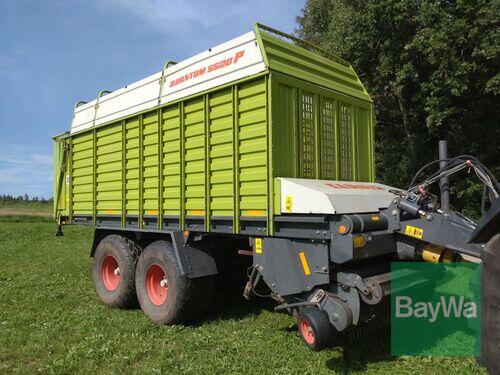 Claas Quantum 5500 P anno di costruzione 2002 Schönau