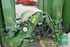 Krone EASY CUT B 1000 CV immagine 10