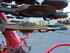 Drill Combination Horsch PRONTO 6 DC Image 10