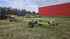 Claas LEXION 750 Imagine 4