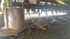 Mower Claas DISCO 3500 C CONTOUR Image 5