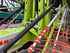 Claas LINER 4800 BUSINESS Obraz 4