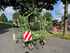 Krone KW 7.70/6 Bild 4