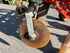 Ground Care Device evers GRASNARBENLOCKERER WBG 3-270 Image 9