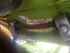 Claas DISCO 9200 C AS Slika 15
