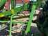 Krone KW 5.52/7 Bild 7