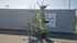 Claas VOLTO 700 Imagine 1