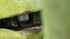 Claas VOLTO 700 Imagine 8