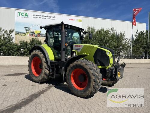 Claas Arion 650 Cebis Rok výroby 2013 Alpen