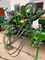 Amazone ED 4500-2 Super Εικόνα 6