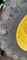John Deere 6250R Ultimate Edition Obraz 5