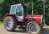 Traktor Massey Ferguson 294 Bild 4