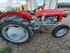 Oldtimer - Traktor Massey Ferguson L12L Bild 1