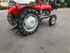 Massey Ferguson TE 20 L12L Зображення 1