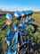 Lemken Europal 8X 5 Schar immagine 4