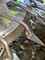 Claas Orbis 900 AC AP Bild 6