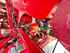 Combinaison De Semoir En Ligne Horsch Pronto 8DC PPF NEUER PREIS! Image 9