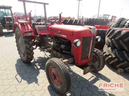 Oldtimer - Traktor Massey Ferguson - 25