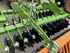 Harrow Amazone CATROS 3003 SPECIAL Image 10