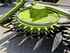 Claas ORBIS 900 3T Изображение 19