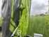 Mower Claas DISCO 9700 COMFORT Image 2