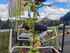 Claas WENDER VOLTO 60 Billede 2