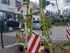 Claas WENDER VOLTO 60 Billede 3