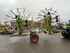 Claas Liner 3600 Beeld 1