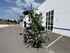 Fendt Twister 8608 DN Obraz 4