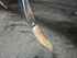 Cultivator Horsch FORTIS 6 AS HORSCH GRUBBER Image 16