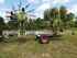 Claas LINER 3000 Slika 14