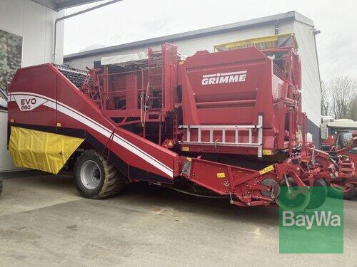 Grimme Evo 280 Year of Build 2023 Jengen