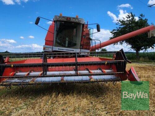 Massey Ferguson Mf 36 Al Godina proizvodnje 1998 Obertraubling