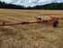 Massey Ferguson MF 36 AL Foto 10