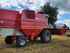 Massey Ferguson MF 36 AL Foto 6