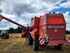 Massey Ferguson MF 36 AL Foto 7