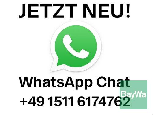 Smart 7 Bamberg