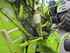 Claas VARIANT 260 ROTO CUT Изображение 8